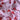Cherry Heart Organic Cotton Baby Swaddle - Candy - Golden Child