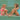 Golden Child Classic Crinkle Bikini - Fluro Pink & Purple - Golden Child